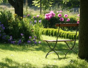 Entretien du jardin toute l'année