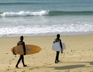 Comment choisir sa combinaison de surf