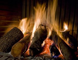 Quel bois choisir pour le chauffage au bois