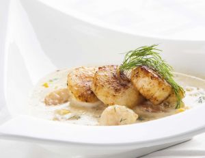 Coquilles Saint Jacques à la crème