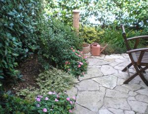 Créer un petit jardin