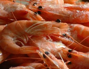 Crevettes au gingembre