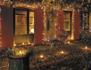 Décorez votre jardin pour Noël