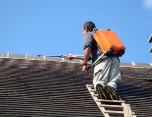 Délai de carence dans un CDD