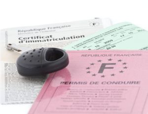 Demande de carte grise en ligne