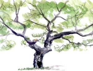 Dessiner un arbre