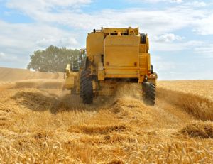 Devenir agriculteur