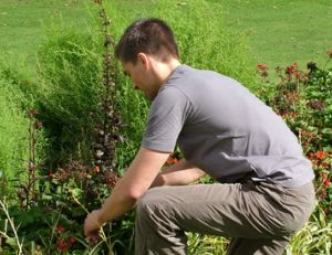 Devenir jardinier