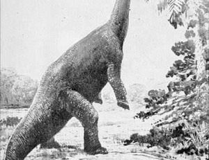 Gravure reconstituant un diplodocus
