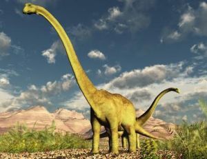 Reconstitution d’un diplodocus
