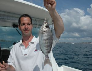La pêche à soutenir fonctionne vraiment bien pour la dorade