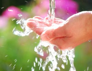 L'eau comme besoin vital