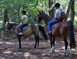 Où pratiquer l'équitation en région parisienne ?