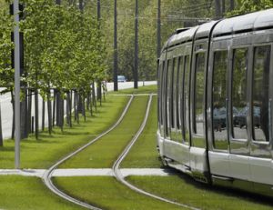 Estimer son empreinte écologique