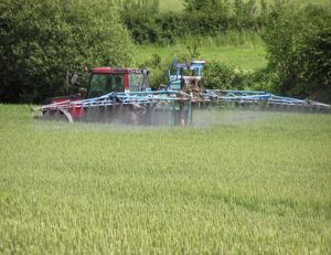 Pesticides : les éviter dans vos produits