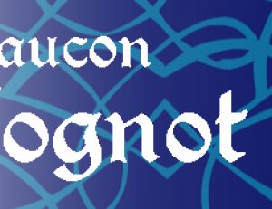 Le faucon solognot