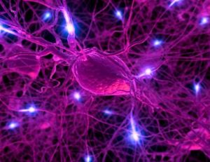 Douleurs articulaires et musculaires : et si c'était la fibromyalgie ?