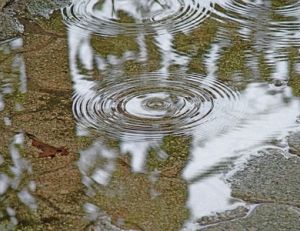 Filtrer l'eau de pluie