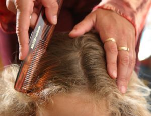Poux et lentes : comment se débarrasser des poux