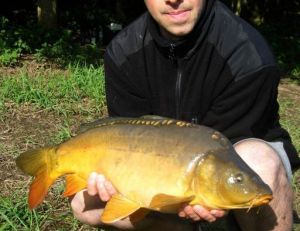 Les graines trempées sélectionnent les carpes