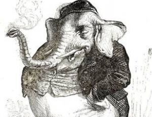 Vie et moeurs des éléphants