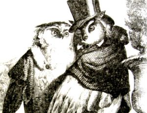 Les hiboux, les chouettes et les hommes