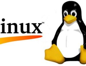 Hébergement internet sous linux