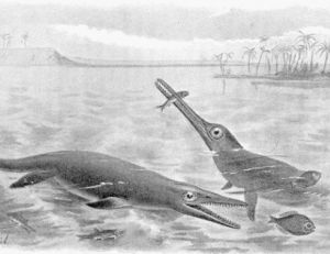 On a longtemps imaginé que les ichtyosaures ressemblaient aux crocodiles actuels