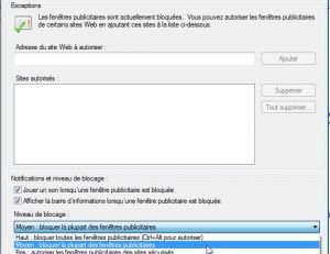 Gestion de la publicité sous ie8