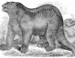 L’iguanodon fût d’abord imaginé comme un gros lézard