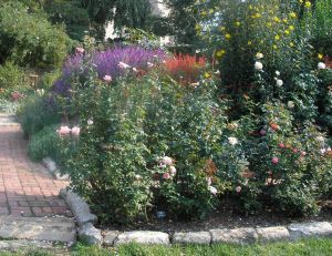 Installer des bordures de jardin