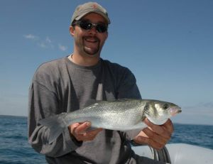 Pêche du bar : organiser sa journée en bateau