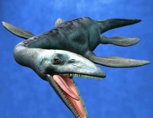Elasmosaure