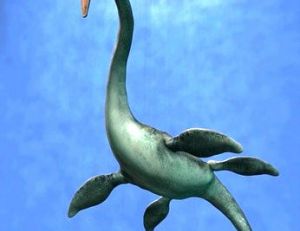 Elasmosaure