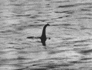 La soi-disant photo de « Nessie », est-ce une preuve suffisante ?