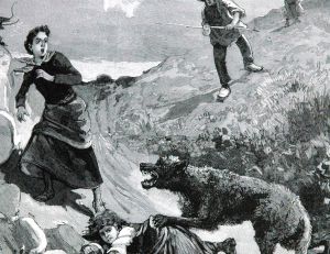 Gravure représentant une jeune fille attaquée par un loup