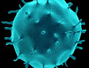 Maladie auto-immune et sérodiagnostic © Maurizio De Angelis / Flickr cc.