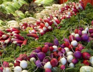 Faire son marché à Paris