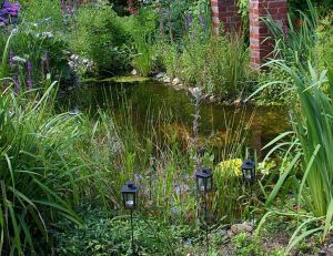 Mare de jardin