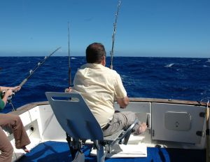 Equipement pour la pêche au gros