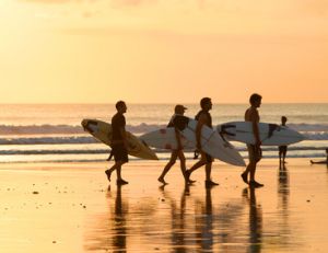 Les meilleurs sport de surf en France