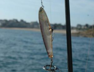 Montage standard pour la pêche au leurre, avec tête de ligne