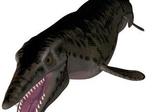 Mosasaure
