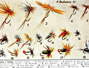Boîte à mouches sèches