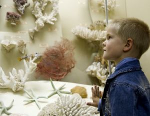 Musées à visiter en famille à Lyon