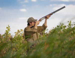 Obtenir un duplicata du permis de chasse