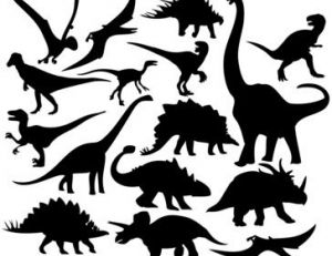Dinosaures ou pas dinosaures ?