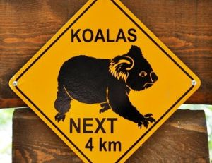 Pancarte très fréquente dans l'Est de l'Australie
