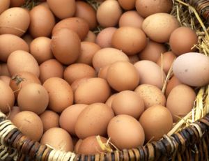 Tous les oeufs dans un même panier