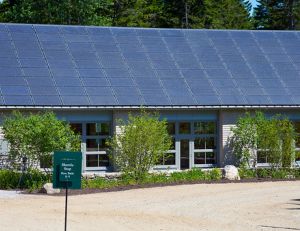 Panneaux solaires : conseils et informations